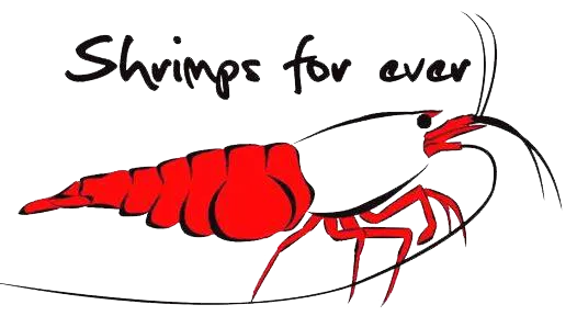 Shrimps Forever