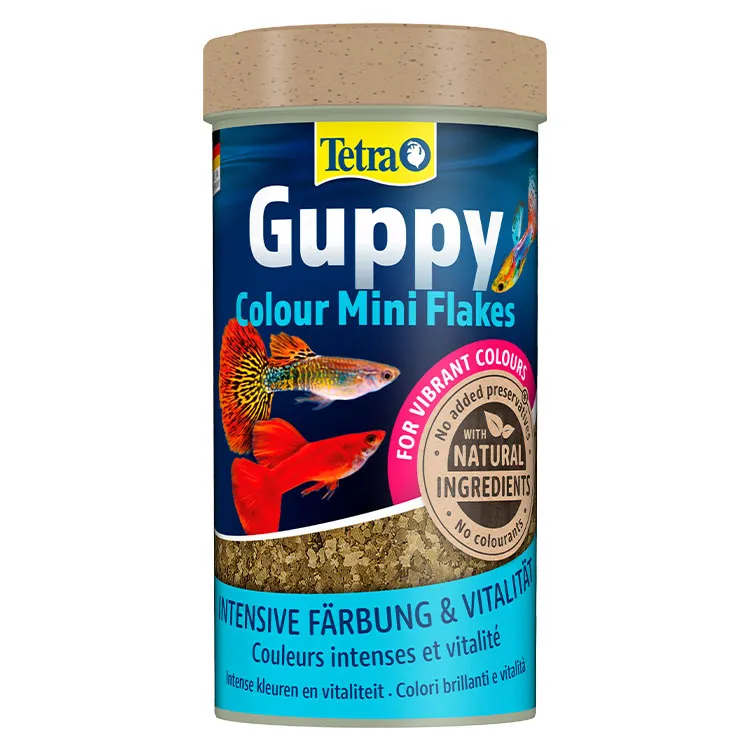Tetra Guppy Colour Mini Flakes Lepistes Pul Balık Yemi - 250ML