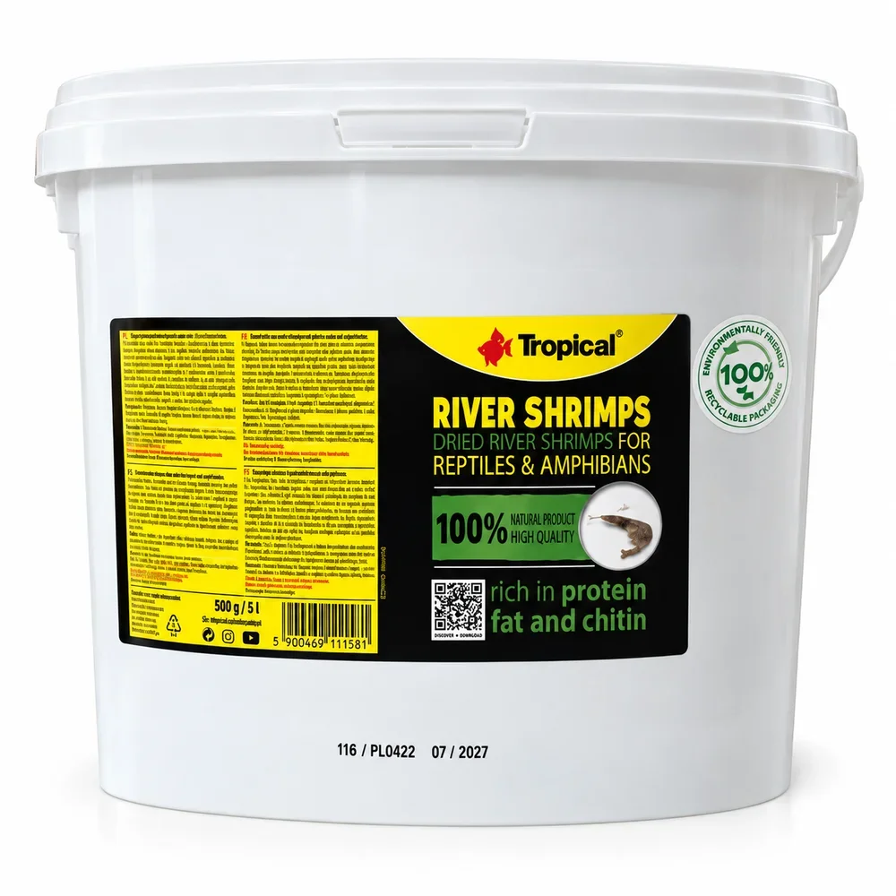Tropical River Shrimps (Kovadan Bölme)