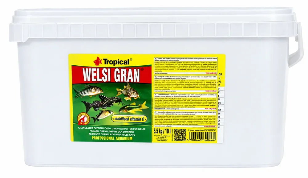 Tropical Welsi Gran (Kovadan Bölme)