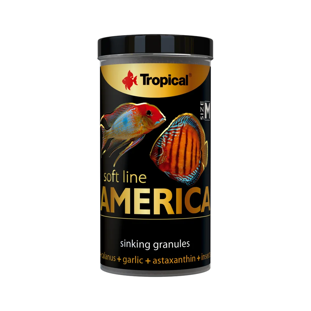 Tropical Soft Line America Size M 100ml/60Gr